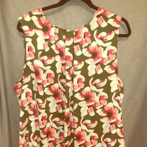 Lovely pink and olive green shell